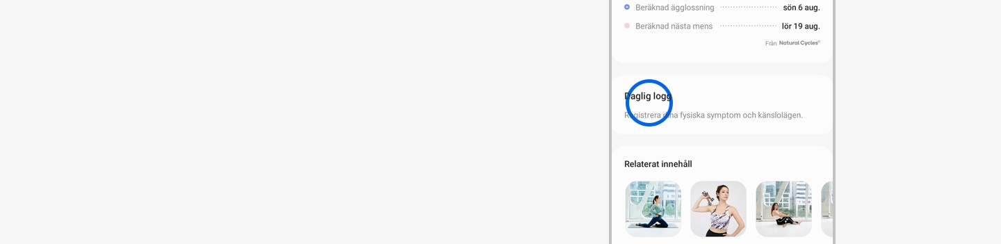 Daglig logg vald i widgeten för cykelspårning