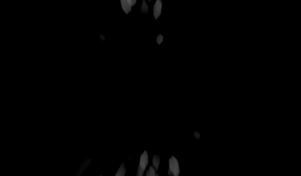 The image showcases a dark background adorned with delicate, scattered white shapes that resemble abstract brush strokes or splashes. These light elements vividly contrast against the black surface, creating an artistic and ethereal quality.