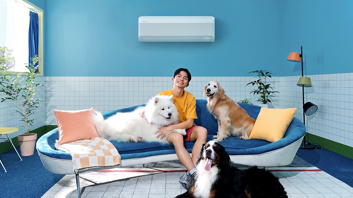 A man sits on a couch in a blue living room with three dogs. They are relaxing in front of a wall-mounted WindFree AC.