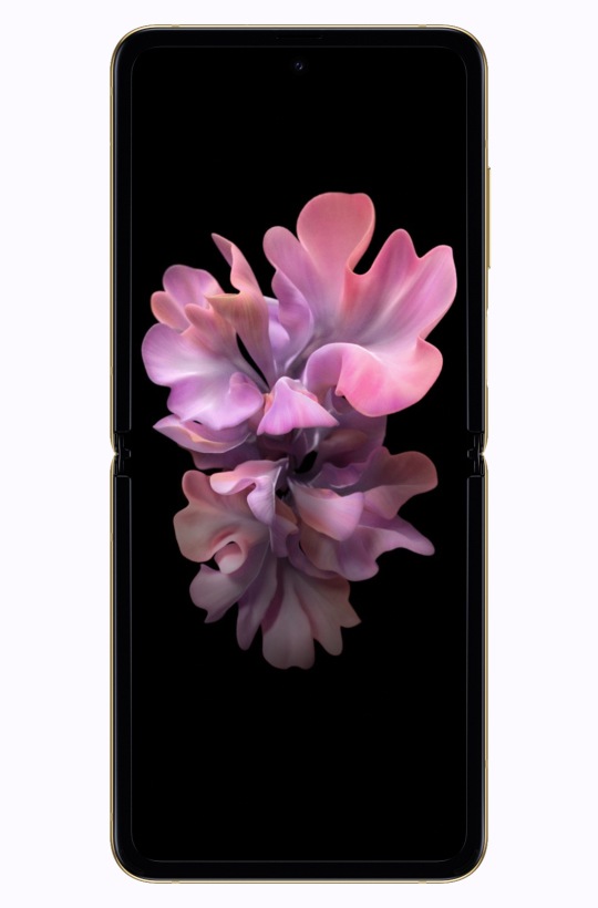 Samsung Galaxy Z Flip Samsung Sg