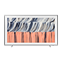  the frame