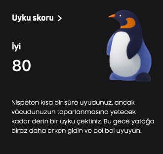 Uyku skoru GUI’si görülüyor. Skor 80 ve üstünde “Good” (İyi) ifadesi bulunuyor.