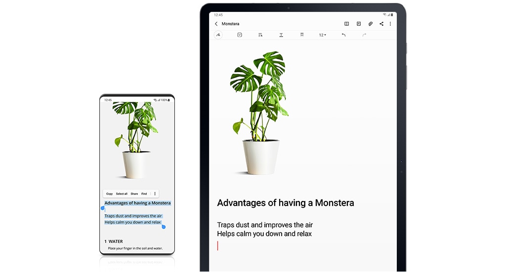 Copy the contents to the plant site on the phone and paste them into samsung note on Galaxy Tab S7+