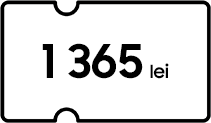 1 365 lei