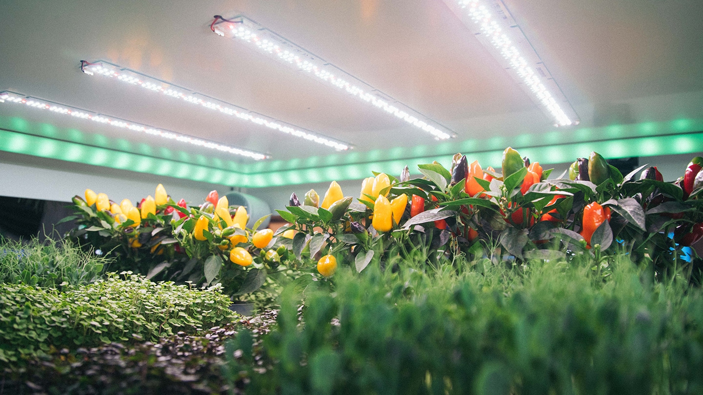 Samsung hydroponic shop