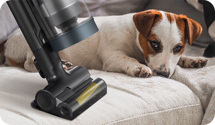 9 Best Vacuums for Pet Hair 2023  The Strategist