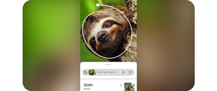 The rear and screen view of a Galaxy smartphone is shown, with an image of a building on a sloth being circled