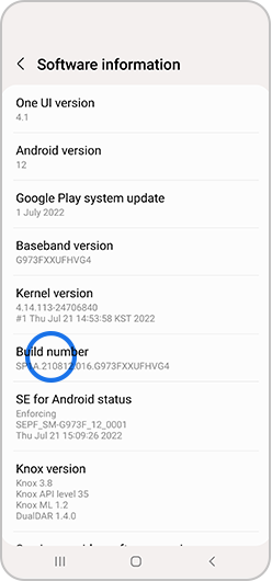 Build number selected in Software information menu