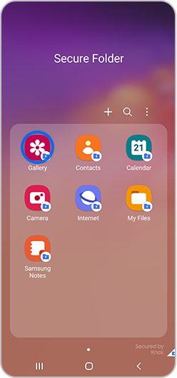 Gallery selected within Secure folder
