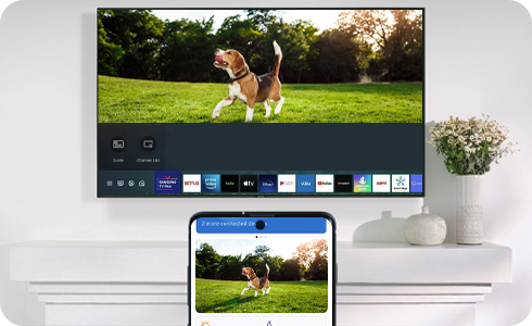 LG Smart TV Connections: Wi-Fi, Miracast, Bluetooth & More