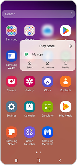 Apps setting menu appearing on Play Store