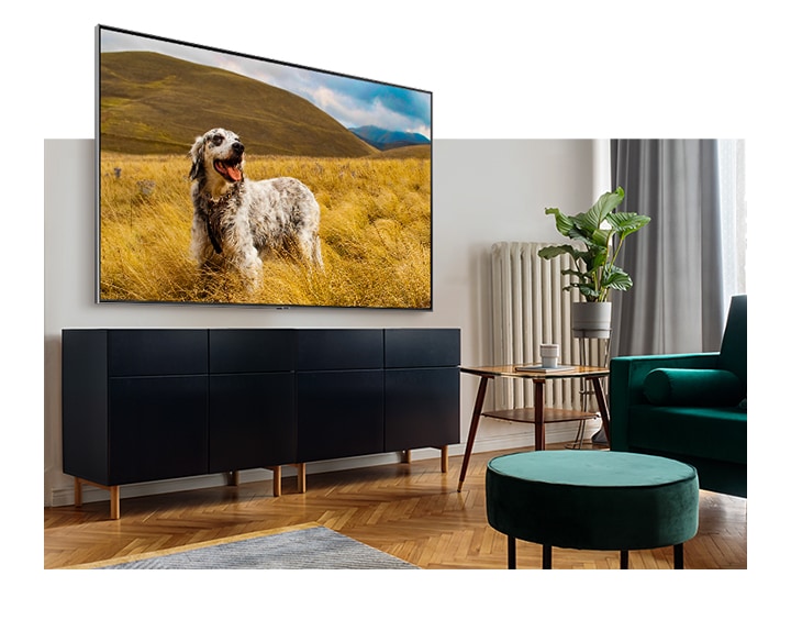 A TV mounted above tv stand in the modern living room displays a brown mottled dog in a grassy field with Natural Mode among picture mode.