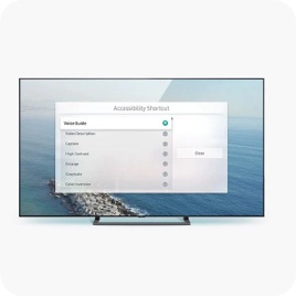 A Samsung TV is on a surface, facing the viewer. On it's screen is an Accessibility menu.