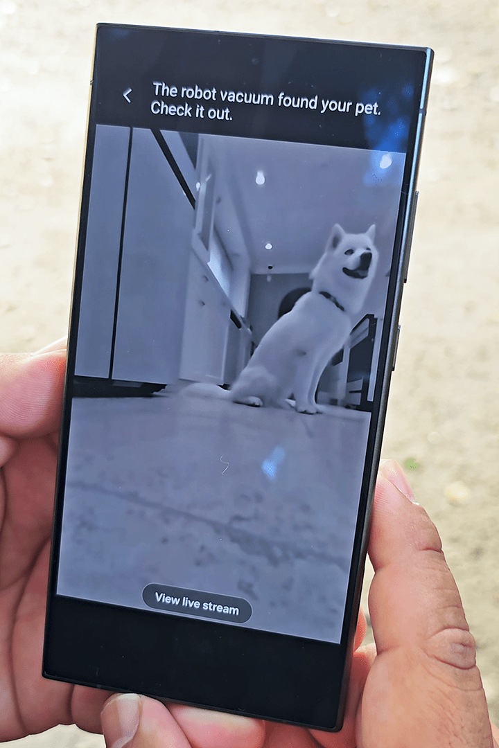 Orders samsung pet camera