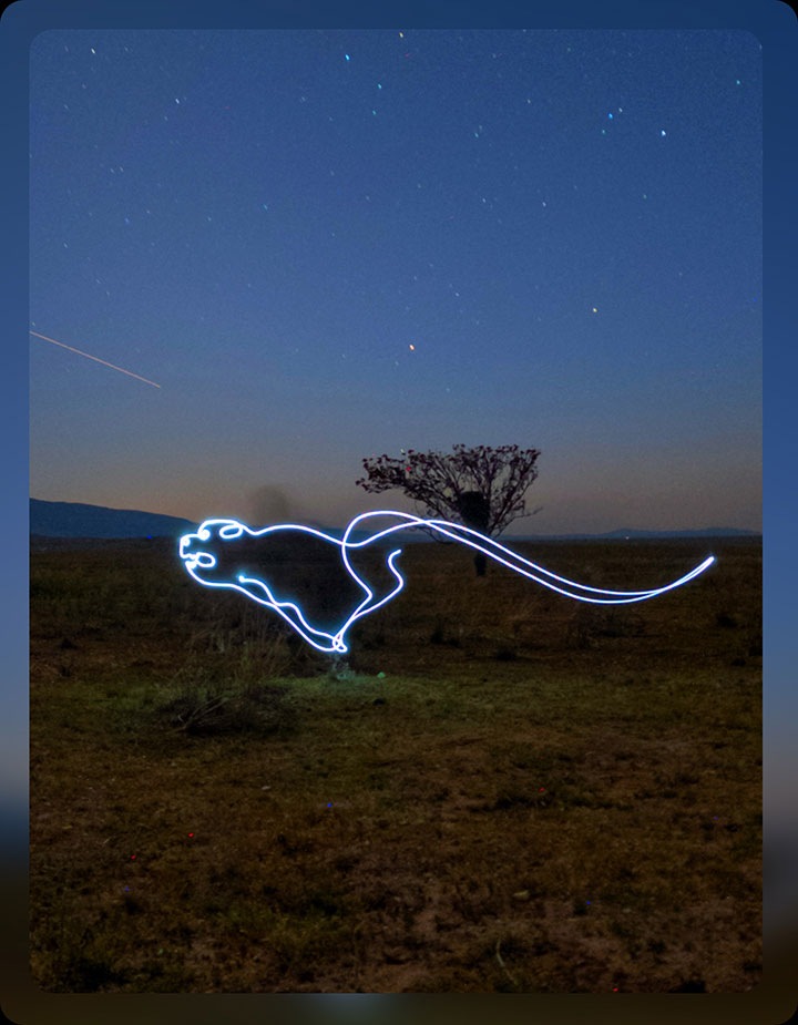 Can you become invisible while light painting during night photos