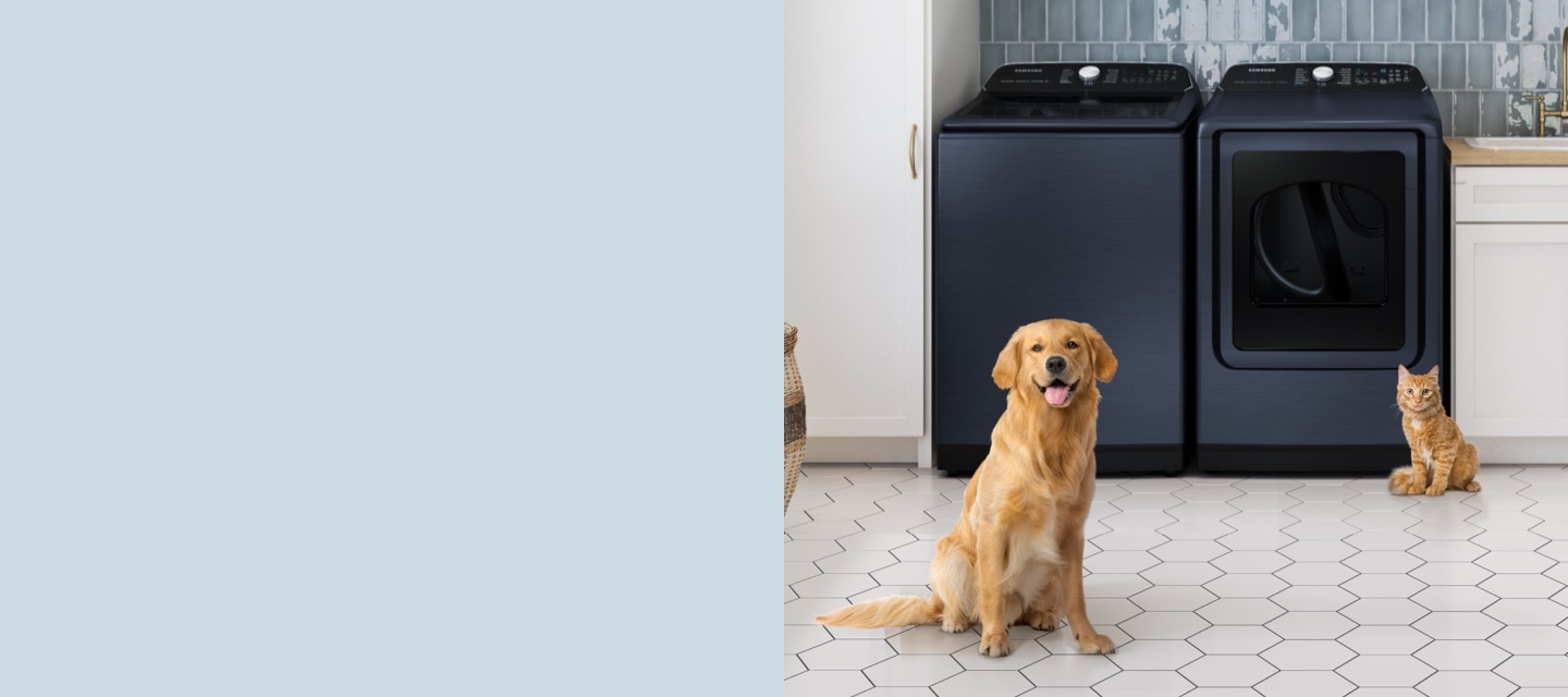 Best washer dryer for deals dog hair