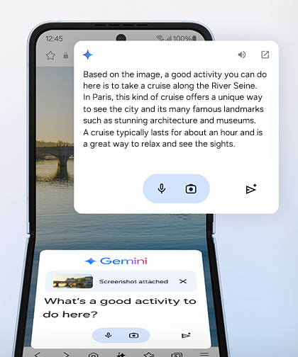 Google Gemini logo. Google Gemini has been asked a question with a screenshot attached. When asked, ‘What's a good activity to do here?’, Gemini provides an answer explaining the contents of the screenshot and recommends the best activity.