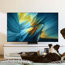 OLED TVs