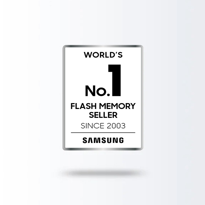 Svjetski broj 1* prodavač flash memorije