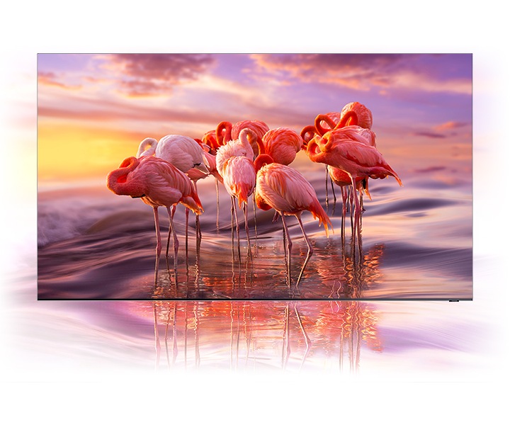 Unleash vivid colour and contrast
