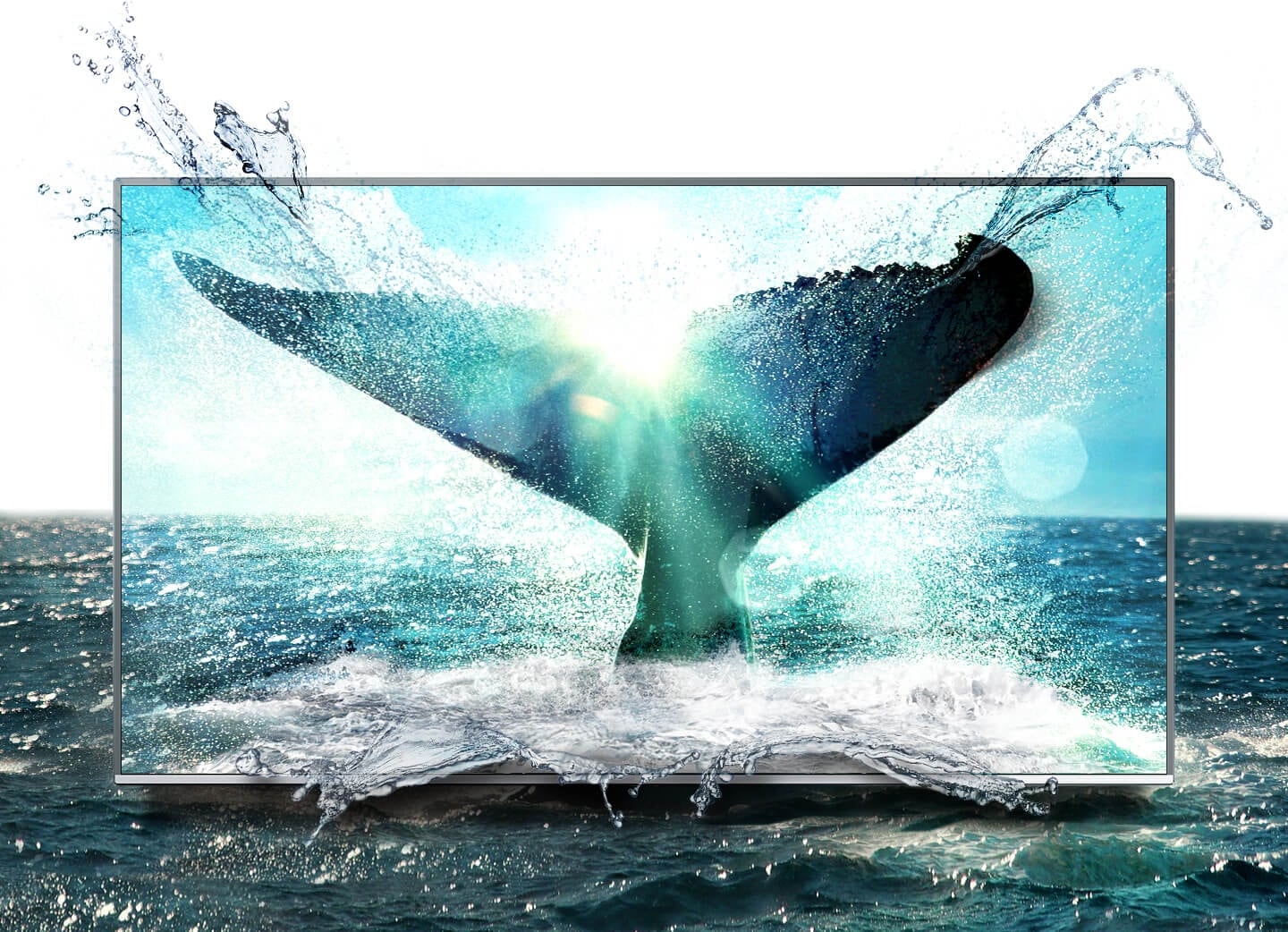 Bright and lively whales tale image is on Samsung SUHD TV screen.