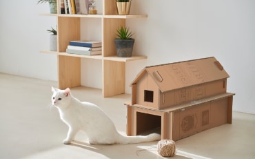 The Frame - Eco Packaging Cat House