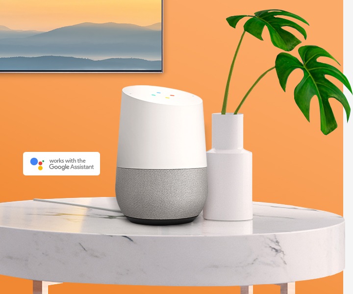 The Google Assistant