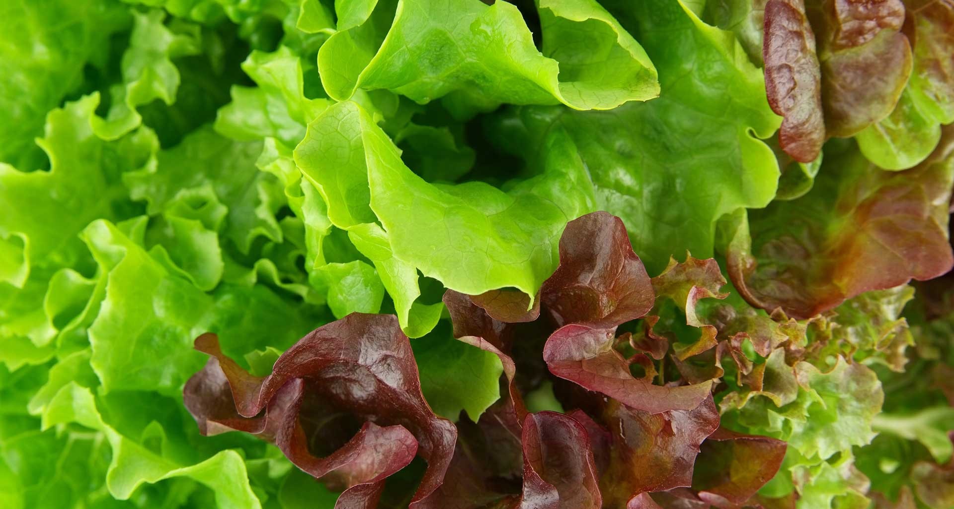 Samsung 471L Top Mount Fridge SR471LSTC » Appliances Warehouse