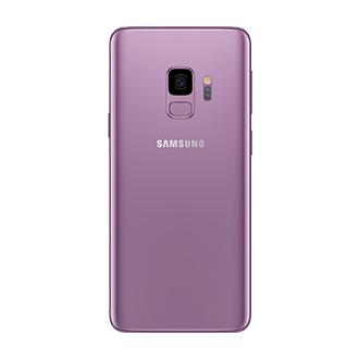 back purple