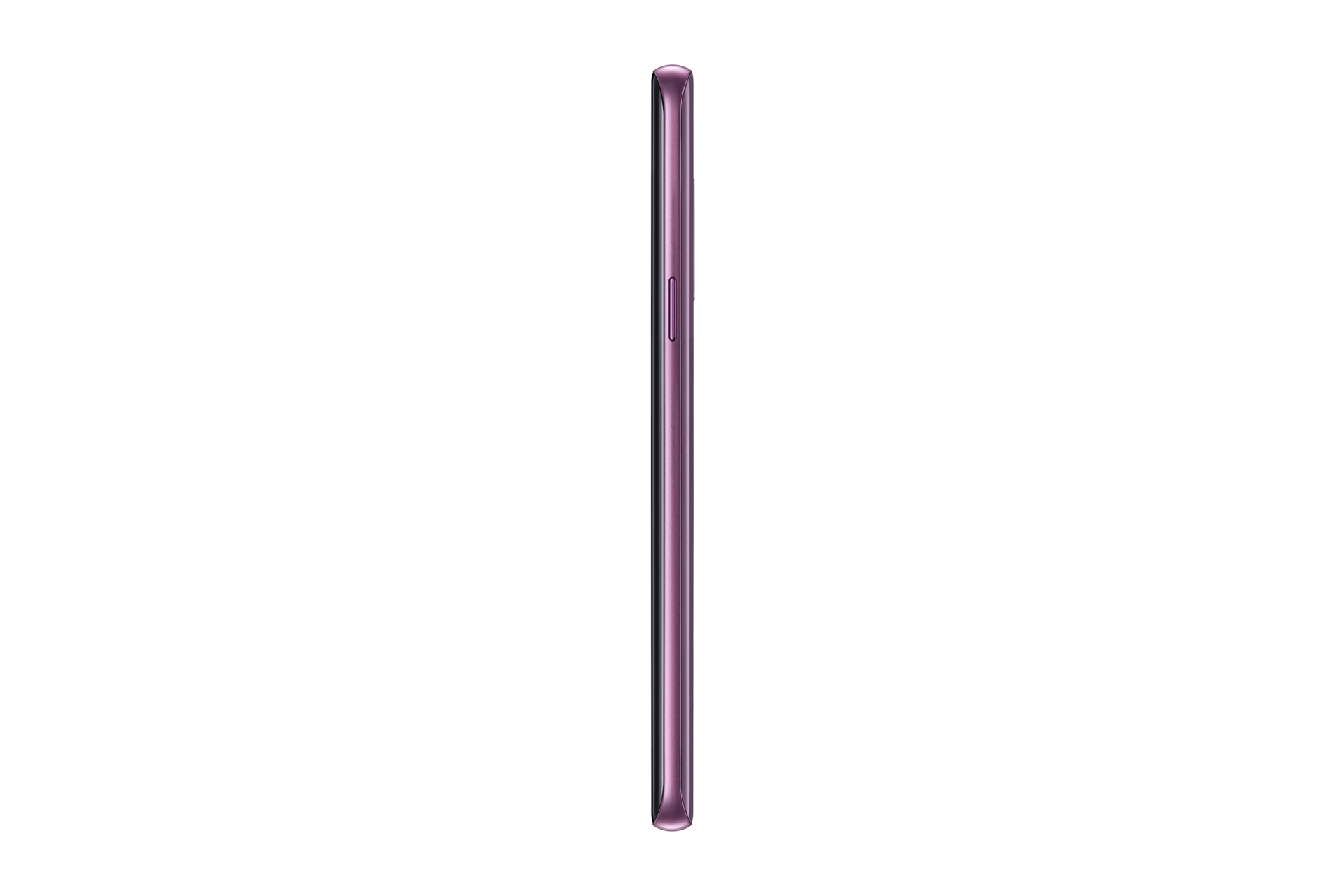rside purple