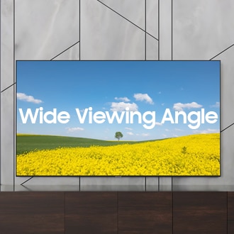 Wide Viewing Angle 8K