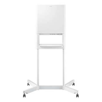 back white