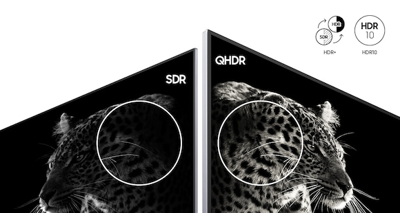 Une image qui compare un modèle Samsung ancien qui supporte la qualité SDR avec un écran Samsung QHDR qui permet la qualité QHDR. L'image sur l'écran SDR ne permet pas de visualiser tous les détails du contraste noir et blanc de l'image d'un léopard, alors que l'image sur l'écran QHDR présente une image exceptionnellement détaillée du même léopard en noir et blanc.