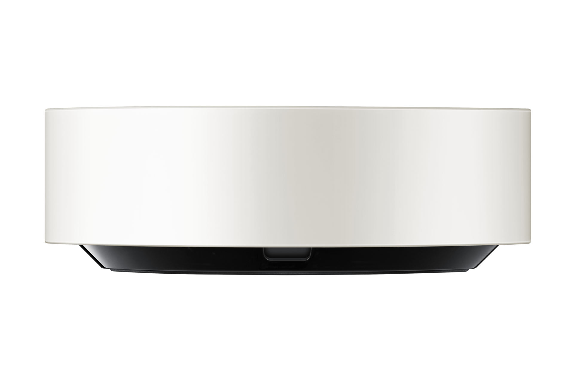 dial-side white