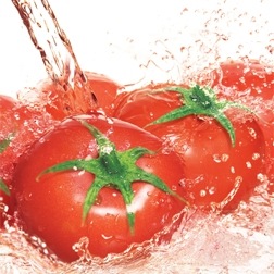 Freshness Preserving Humidity, No Odor Mixing