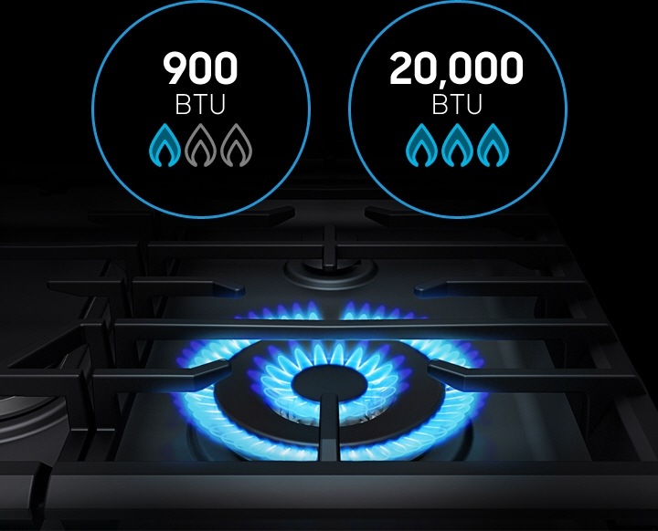 Samsung NX58M6650WS Gas Range with 20 K BTU Dual Burner 5.8 cf Samsung CA