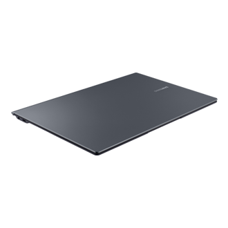 dynamic3 Gray