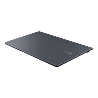 dynamic4 Gray