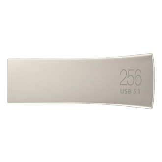 back silver