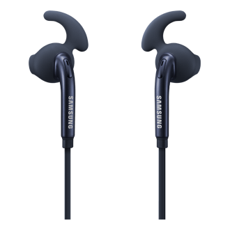 Dynamic Back Bluearctic