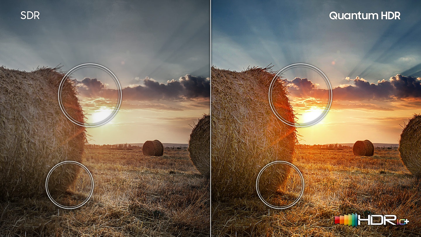 Zažijte širokou škálu detailů