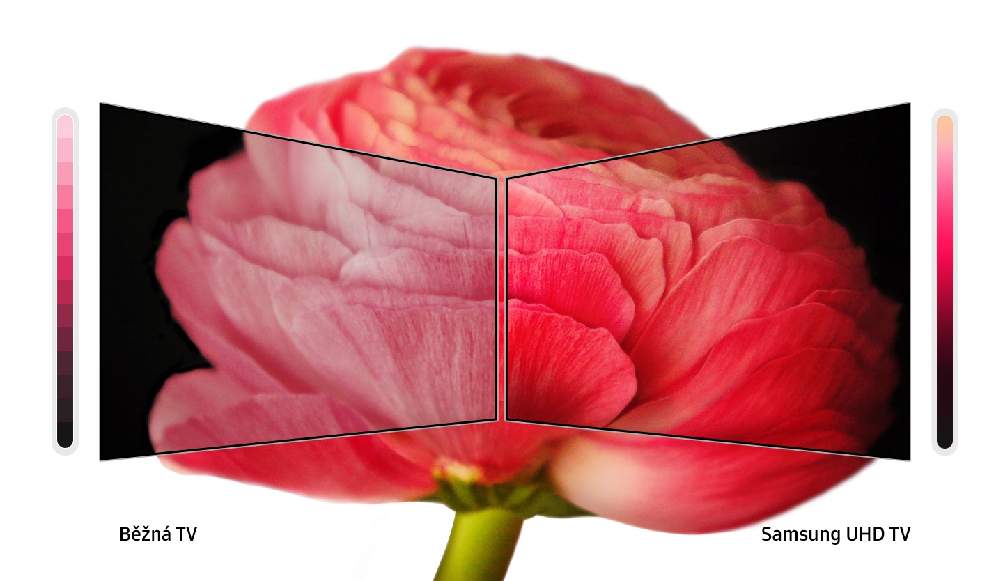 Technologie PurColor