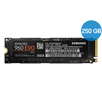 960 EVO NVMe M.2 SSD (250 GB) | Samsung Deutschland