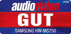 Audiovision, 2/2018: Gut