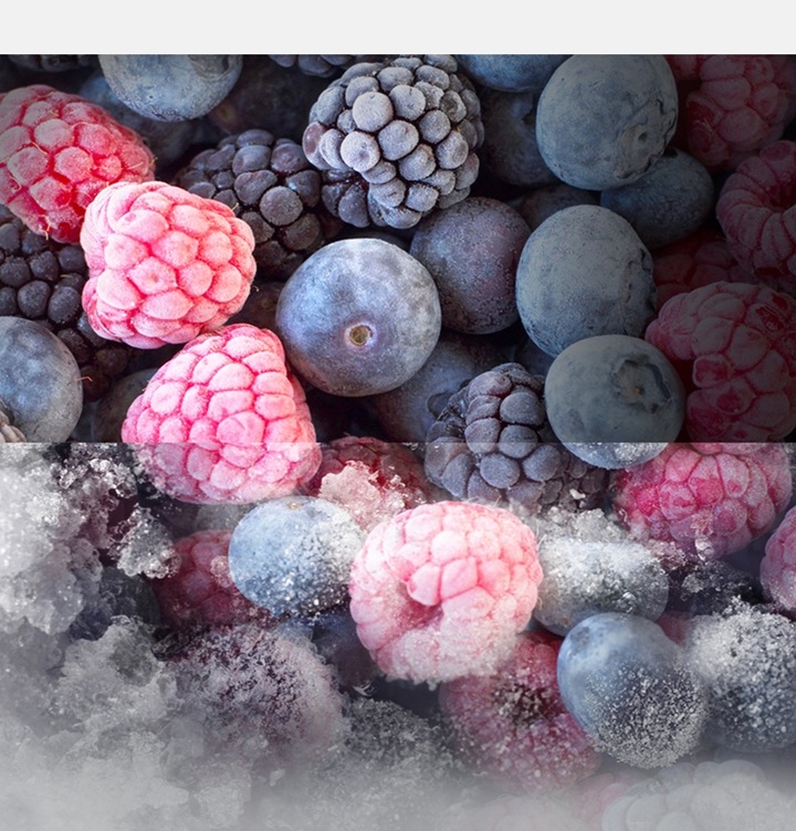 Total No Frost+ - Mehr als nur nie wieder abtauen