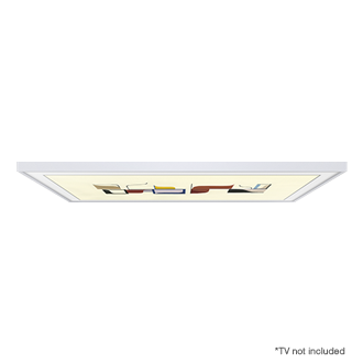 dynamic1 white