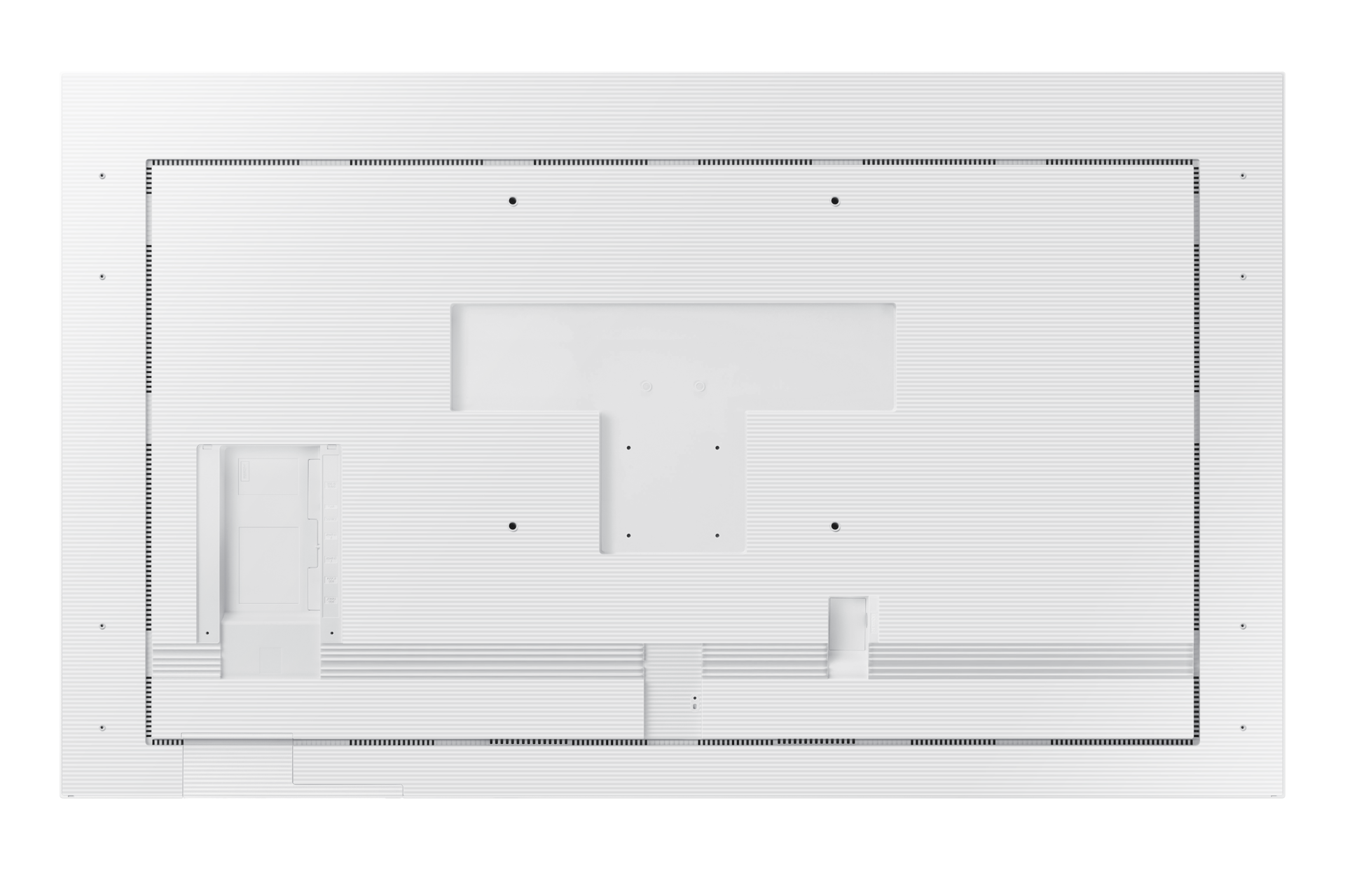 back white