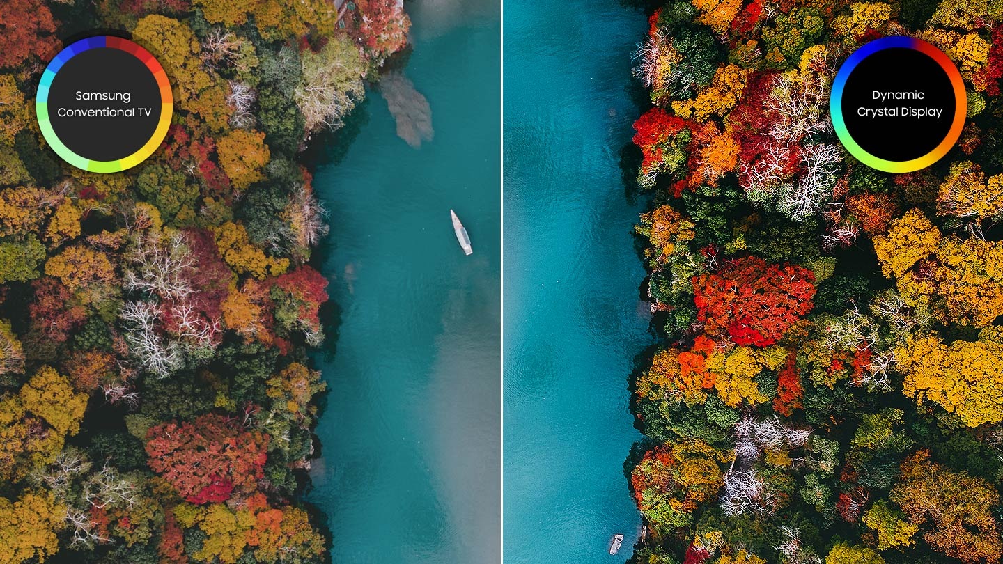 Expresión de colores nítidos y vivos