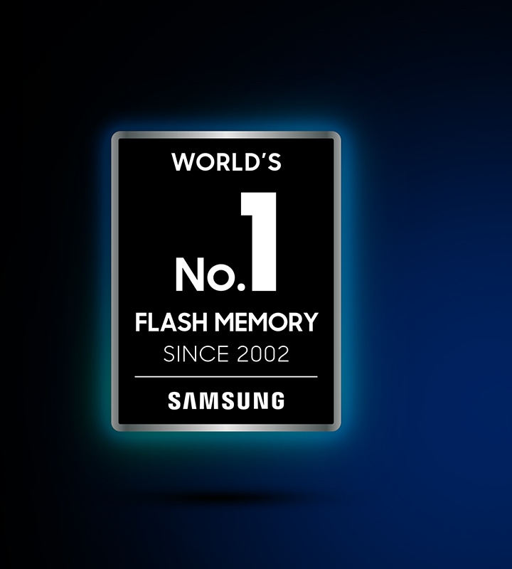 La memoria flash Número 1 del mundo