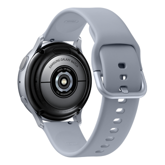 dynamic Crown Silver